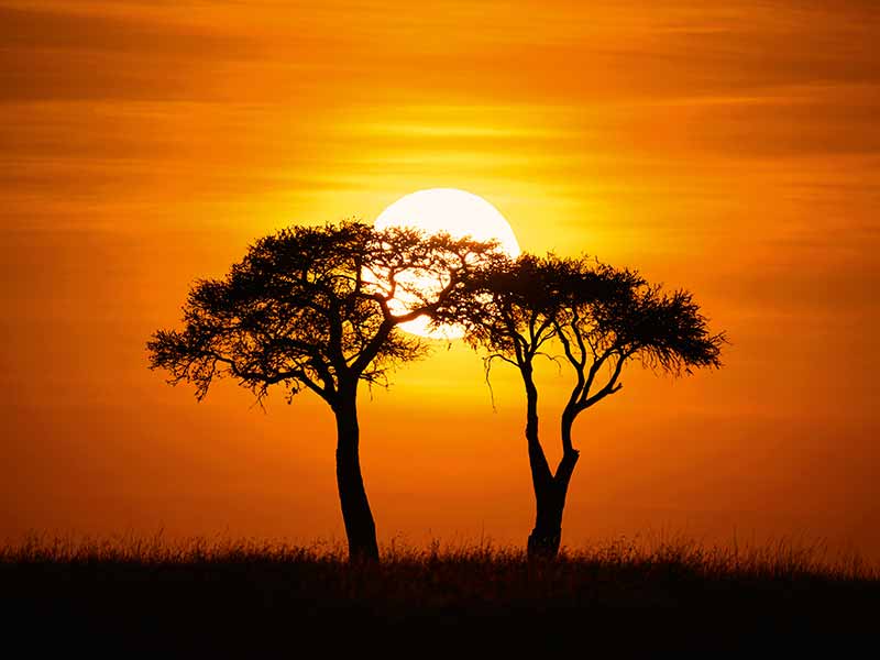Roman Wildlife Foundation foto