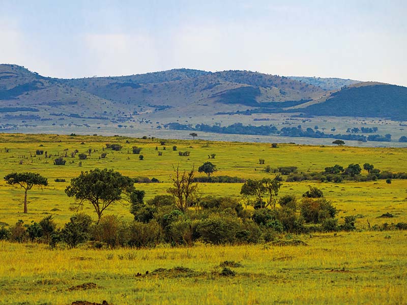 Roman Wildlife Foundation foto