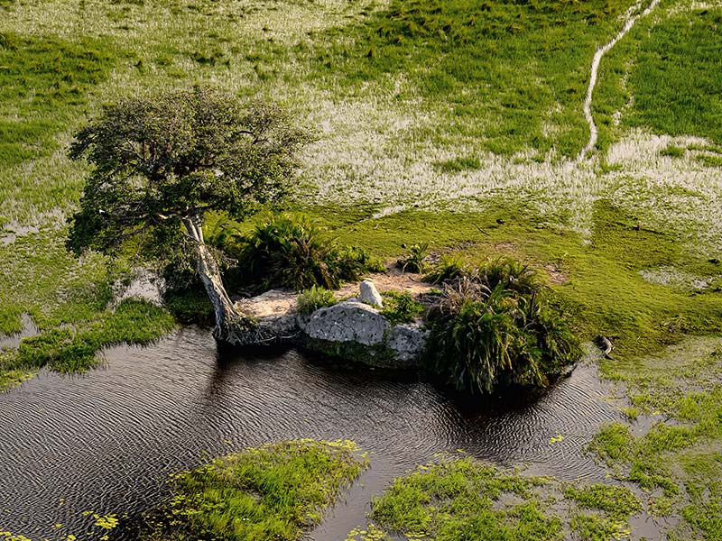 Roman Wildlife Foundation foto