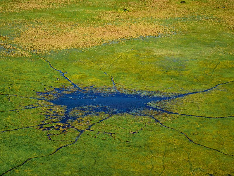 Roman Wildlife Foundation foto